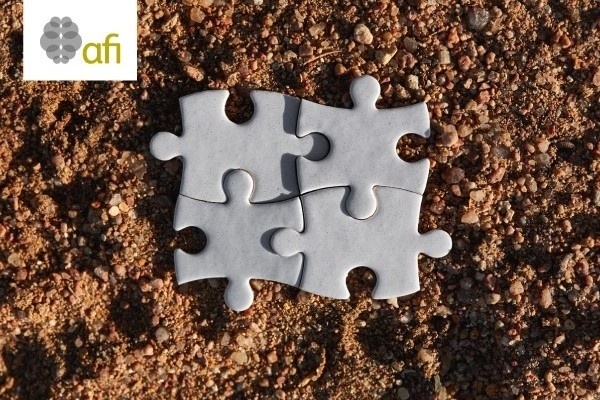 AFI Educate - Alliance for Financial Inclusion
