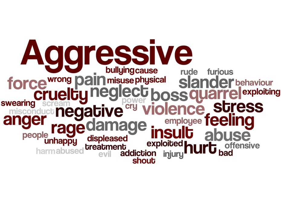 Pbs for aggressive behaviours on openlearning